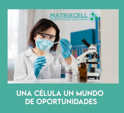 Slider image (3) MatrixCell